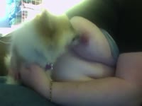 Cute pet sucking a beastie gal tits